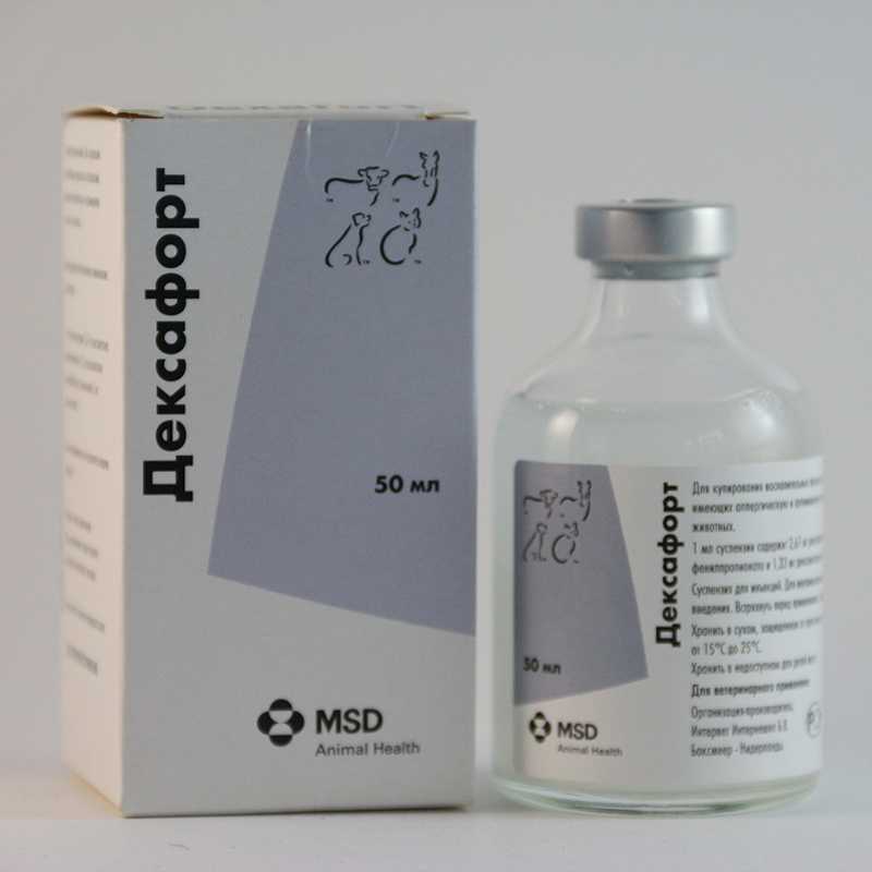 Дексафорт (суспензия для инъекций) для собак и кошек | отзывы о применении препаратов для животных от ветеринаров и заводчиков