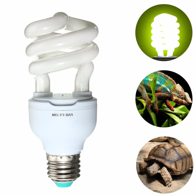 Лампа для красноухих черепах: ультрафиолетовые и инфракрасные. какая нужна и можно ли поставить обычную лампу накаливания? на сколько ватт нужна мощность?