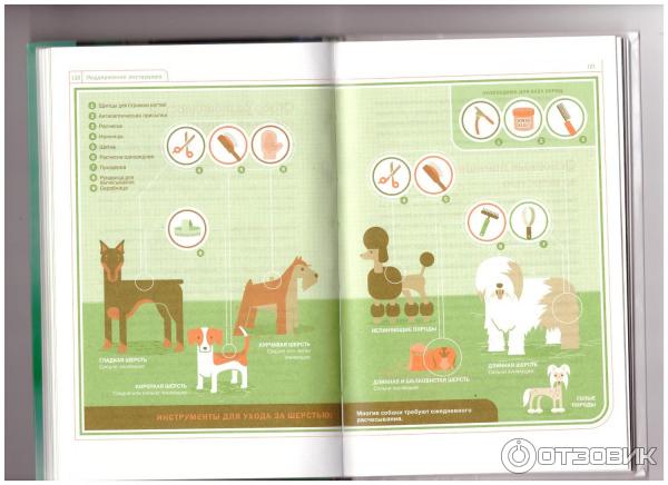 Воспитание щенка немецкой овчарки по месяцам: основные правила, социализация и первые команды