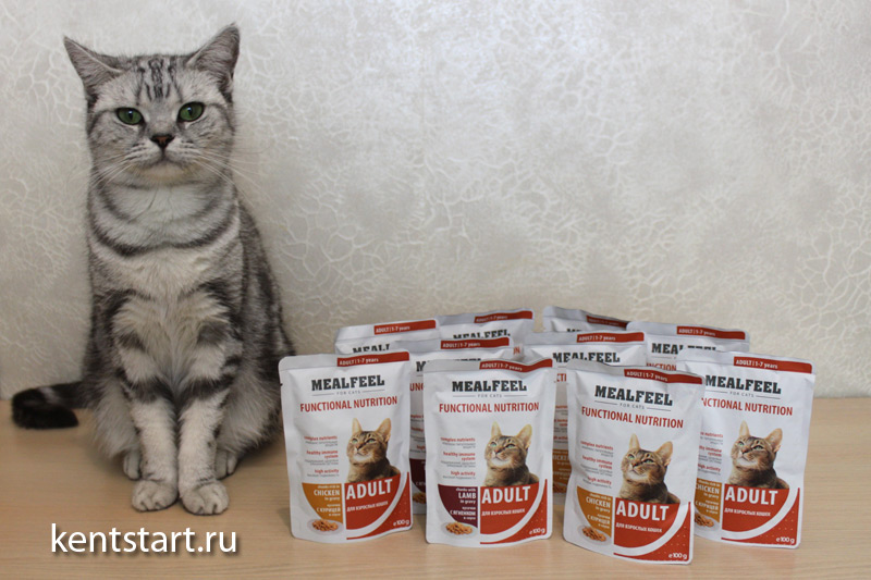 Корм для кошек mealfeel: отзывы ветеринаров о качестве ( 8 фото )