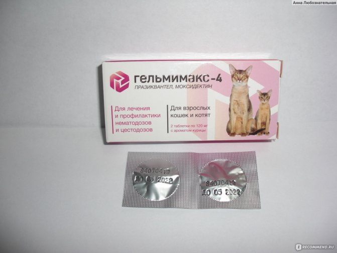 Антибиотик энромаг для продуктивных животных, кошек, собак