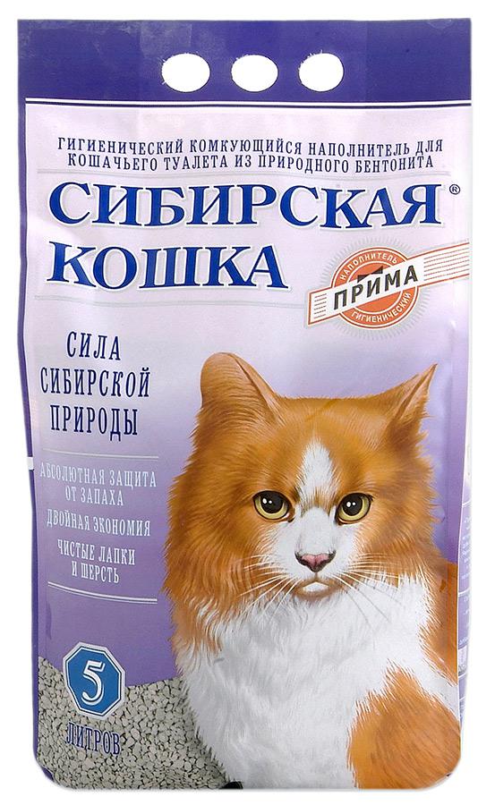 Наполнитель «сибирская кошка» (44 фото): комкующийся и древесный, наполнитель с силикагелем для кошачьего туалета от производителя, отзывы