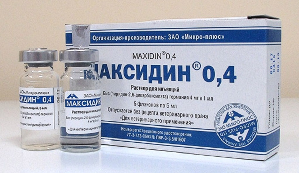 Максидин для кошек - 130 фото действия и применения препарата