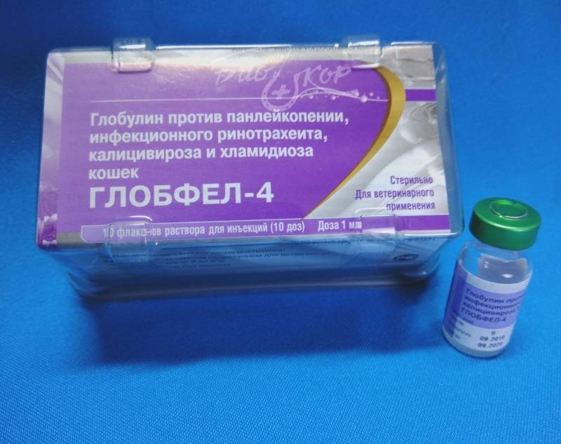 Глобфел-4 (сыворотка) для кошек | отзывы о применении препаратов для животных от ветеринаров и заводчиков