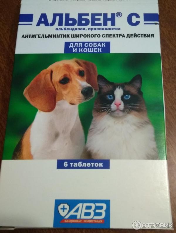 Альбен с: инструкция по применению для кошек, состав таблеток, побочные действия на организм животного, отзывы ветеринаров