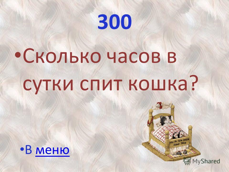 Сколько часов спят кошки в сутки и почему так много, фазы и стадии