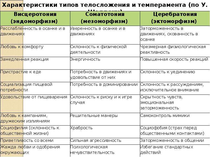 Керн-терьер: описание породы, характер собак