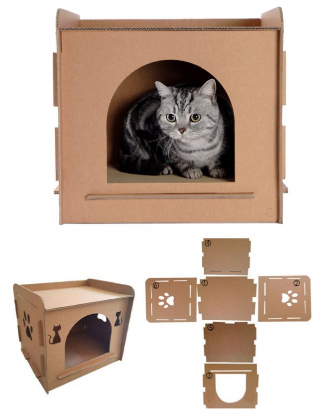 Домик для кошек своими руками из коробок и картона: как сделать лежанку и другие варианты