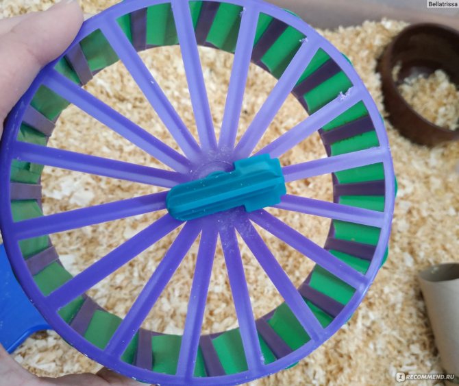 ᐉ беговое колесо для хомяка: как сделать своими руками - kcc-zoo.ru
