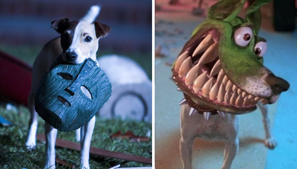 Порода собаки из фильма маска с джимом керри: фото, характер и цена