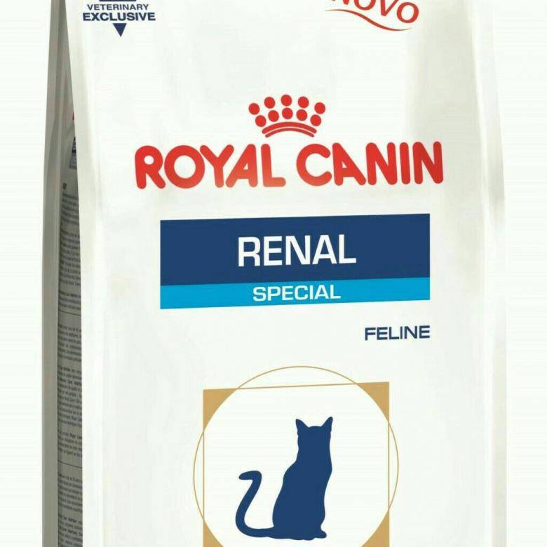 Инструкция по применению и обзор кормов ренал от royal canin для котов