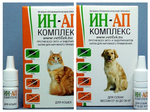 Ин-ап комплекс для кошек: инструкция и показания к применению, отзывы, цена