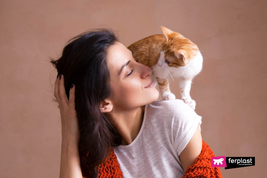 Как коты говорят, что любят вас: 14 признаков любви