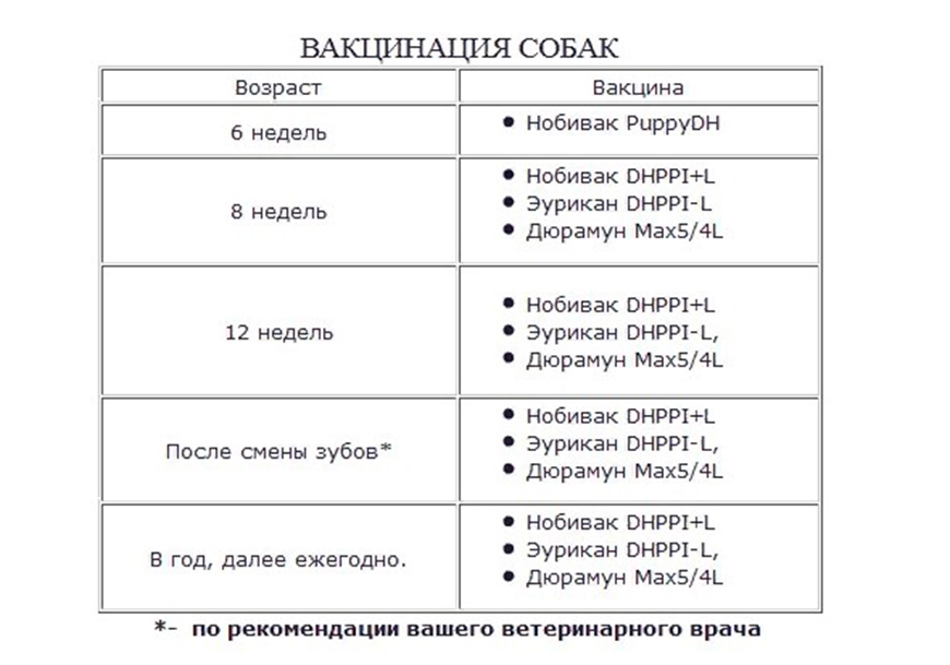 План прививок для собак