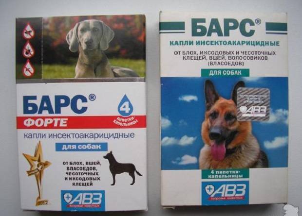 Барс форте (капли) для кошек и собак | отзывы о применении препаратов для животных от ветеринаров и заводчиков