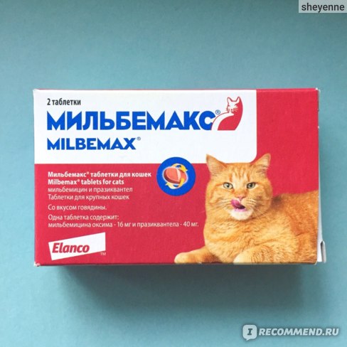 Мильбемакс для кошек: инструкция по применению, цена, отзывы