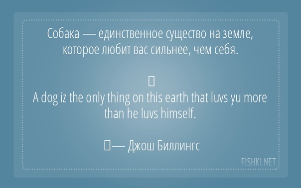 Кошачьи странности: объяснение некоторых повадок питомцев