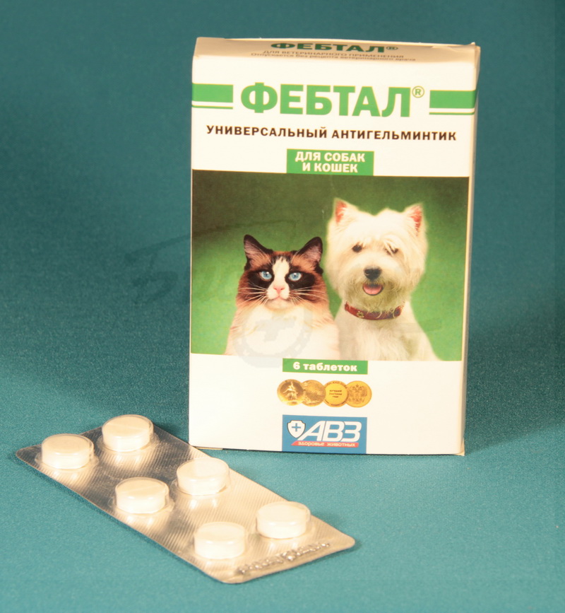 Фебтал для собак: инструкция по применению, описание препарата