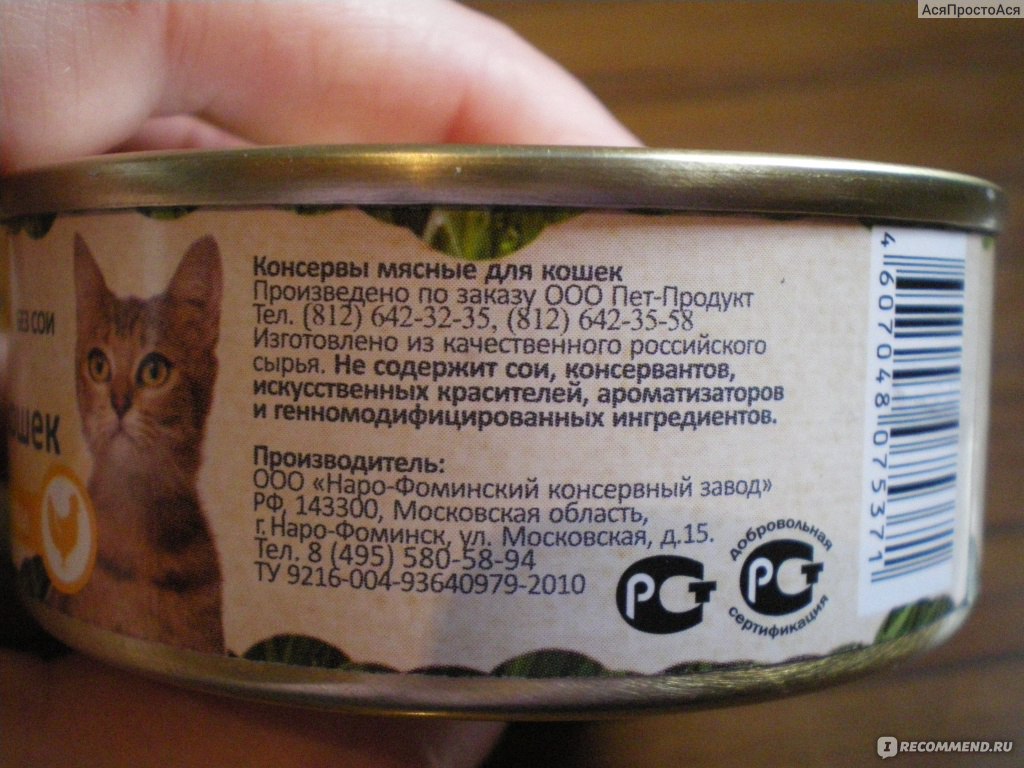 Влажные корма для кошек: обзор популярных марок