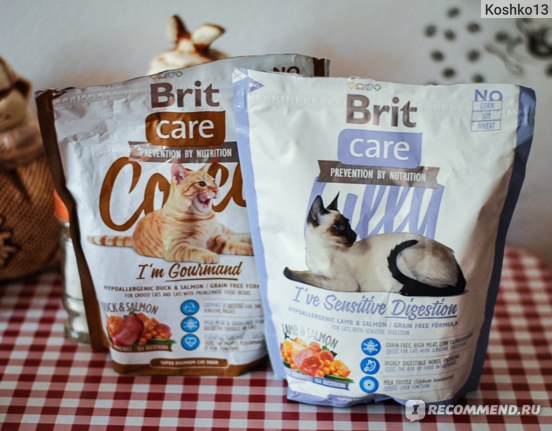 Корм brit care для кошек — отзывы, разбор состава, цена