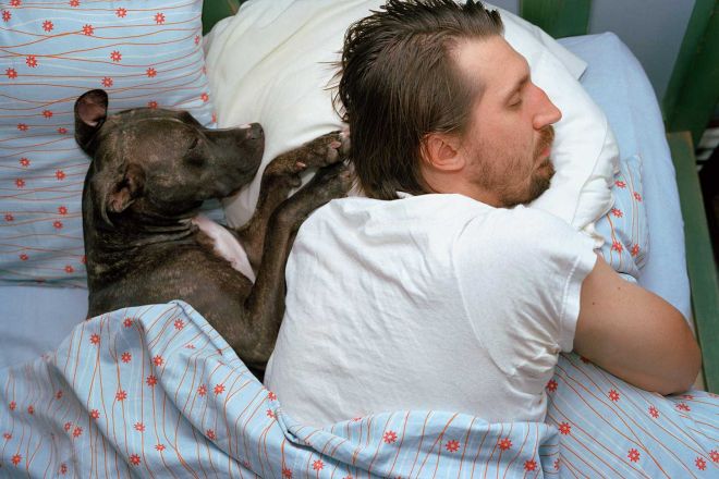 Собака и ее сон: проблемы и вопросы | блог ветклиники "беланта"