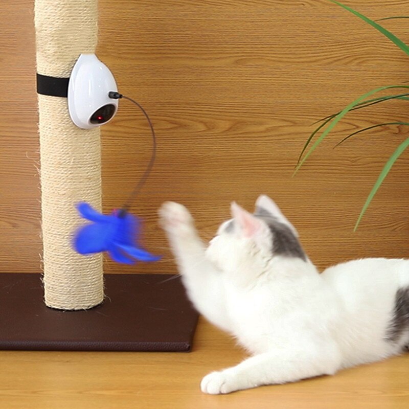 Как сделать игрушку для кошки и кота своими руками: 50 идей