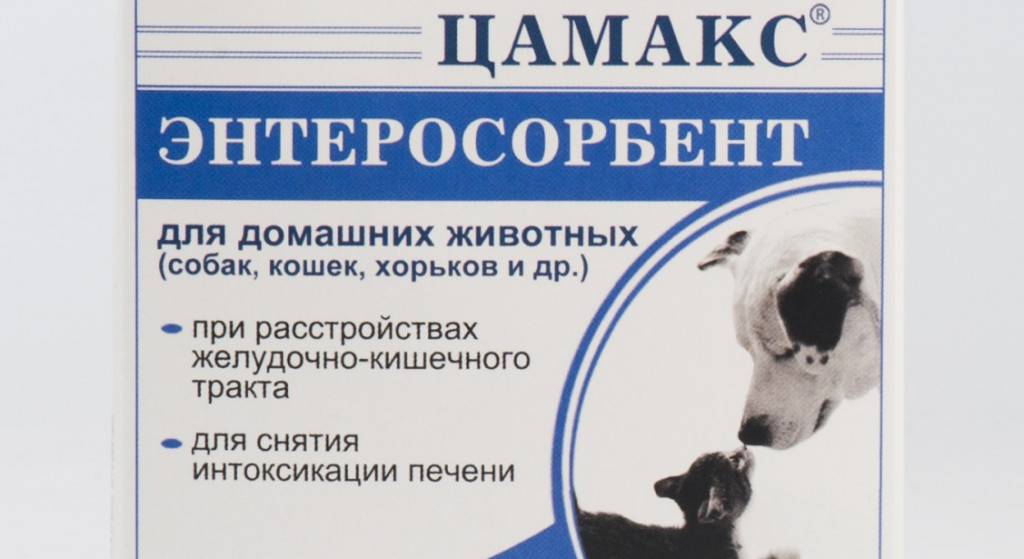 Признаки приближающейся смерти при раке