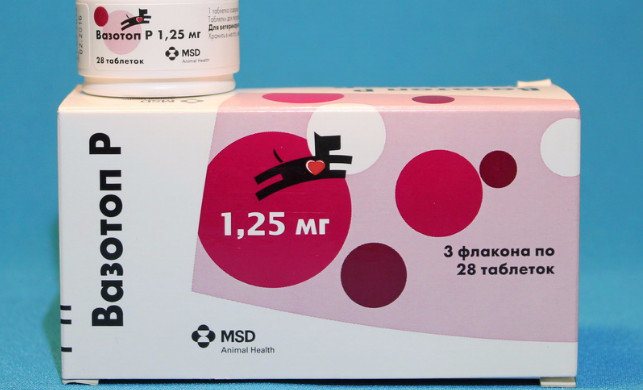 Вазотоп p для собак и кошек  0,625 мг, 28 таблеток купить, цена и отзывы в зоомагазине beewell