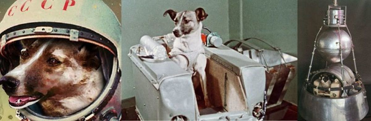 Лайка - первая собака-космонавт.