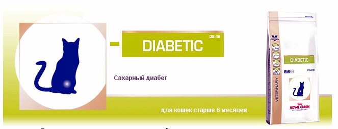 Лечение сухой и влажной гангрены нижних конечностей при сахарном диабете без ампутации