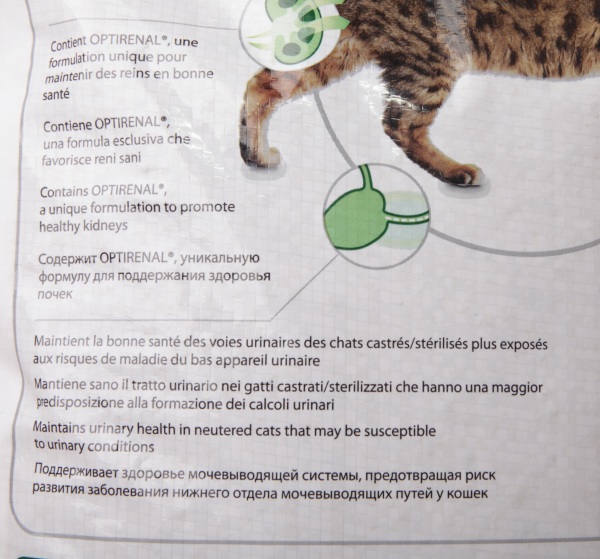 Чем нельзя кормить кастрированного кота и почему