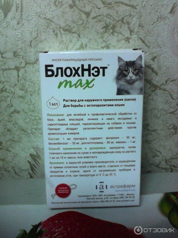 Блохи у кошек. как вывести, лучшие средства от блох: цены и отзывы - kotiko.ru
