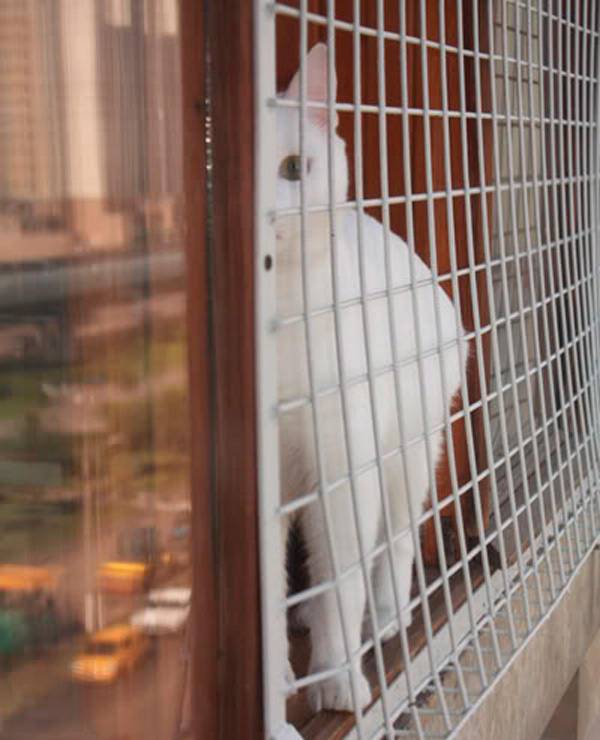 Защита на окна от кошек | от выпадания, своими руками, купить, цена