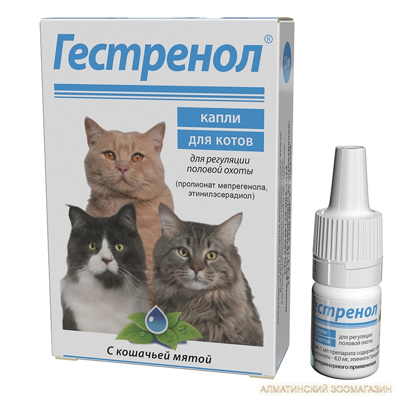 Гестренол для кошек: капли, таблетки, инструкция