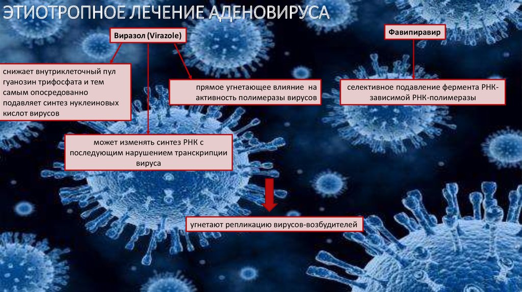 Грипп аденовирус. Аденовирусная инфекция. Этиотропная терапия аденовирусной инфекции. Характеристика возбудителя аденовирусной инфекции. Вирус аденовирус.