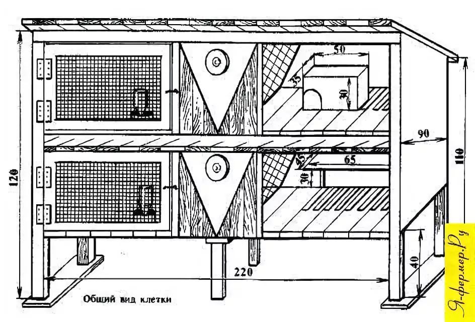 Схема клеток для кроликов