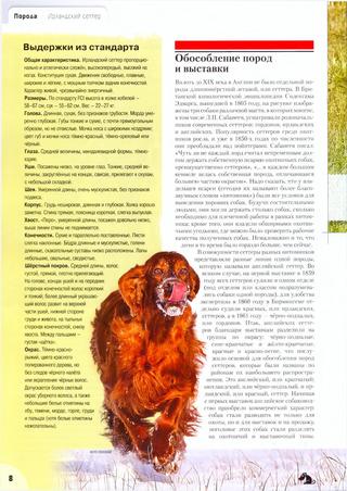 Ирландский сеттер: все о собаке, фото, описание породы, характер, цена