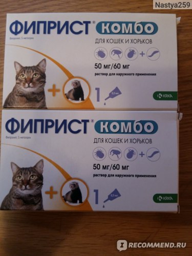 Эмицидин для кошек: инструкция по применению, фармакологические свойства, отзывы, аналоги