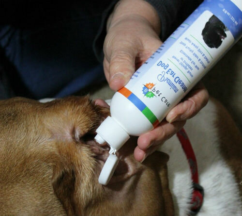 Как избавиться от запаха собаки - пошаговая инструкция как избавиться от запаха собаки + 70 фото