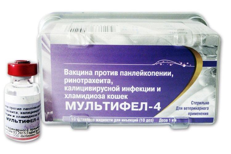 Мультакан 8 — отечественная прививка для собак. инструкция по применению, показания, противопоказания к использованию мультикан 8 для активной иммунизации щенков и взрослых собак от распространенных и