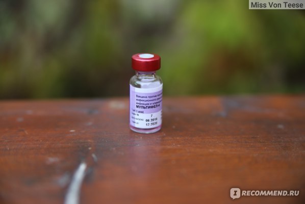 Мультифел-4 - описание вакцины для кошек, применение