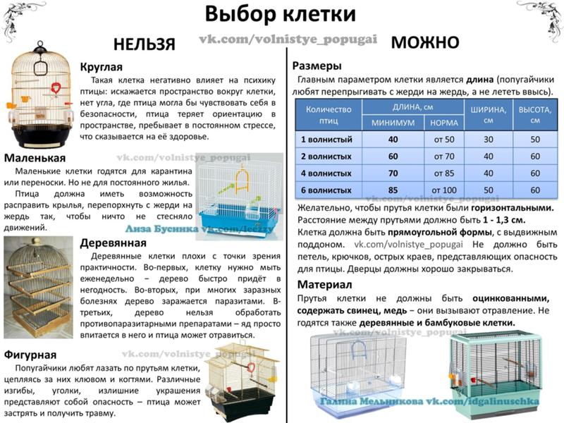 ᐉ клетка для попугая своими руками: как сделать, пошаговая инструкция - kcc-zoo.ru