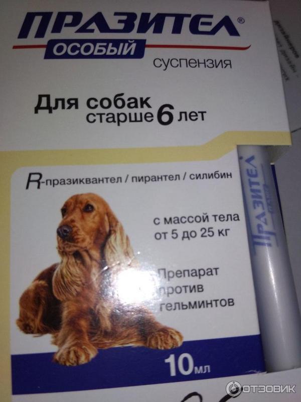 Домашняя ветеринарная аптечка