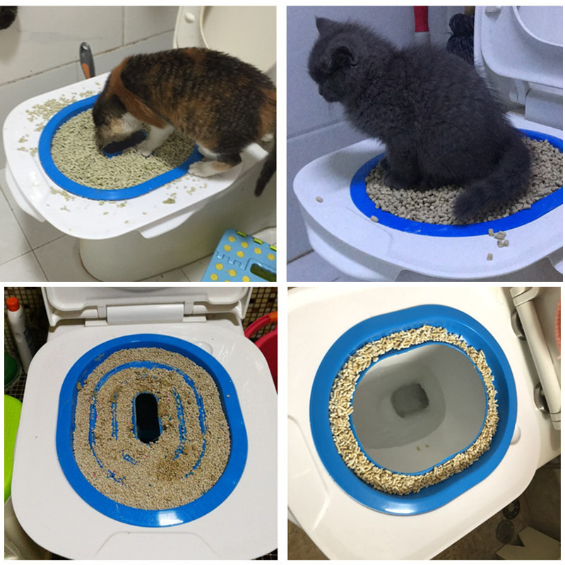 Как приучить кошку к туалету: практические советы и методы