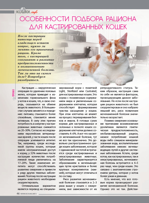 Корма для стерилизованных кошек и кастрированных котов: характеристики и правила выбора