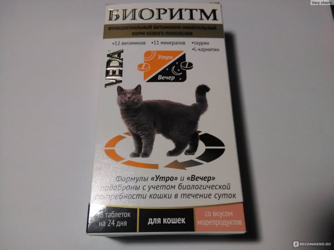 Топ-10 лучших витаминов для кошек и котов