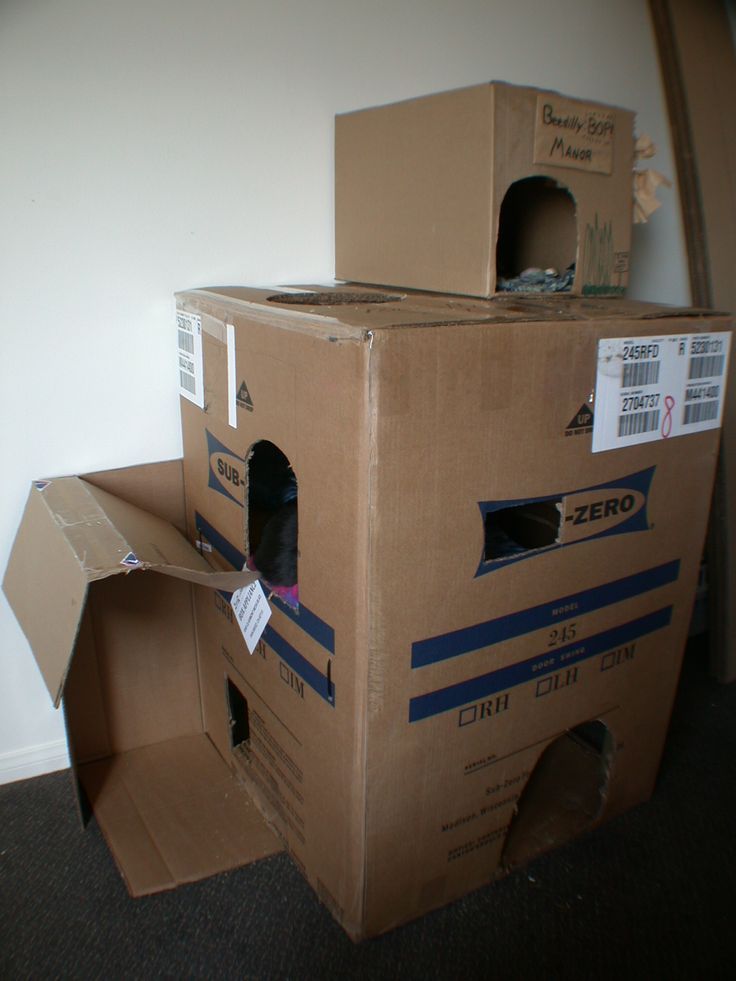 Строим дом для кошки своими руками. интересные идеи и пошаговые инструкции: из фанеры, картонных коробок, ткани. чертежи с размерами (120+ фото & видео)