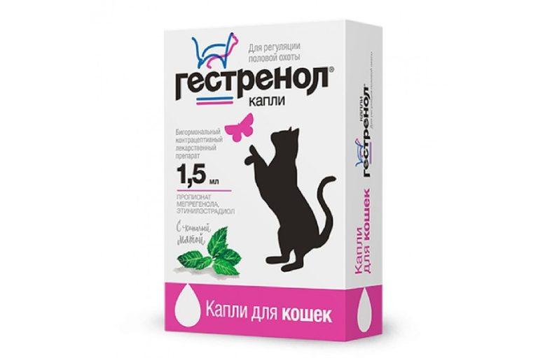10 лучших средств от гуляния кошек