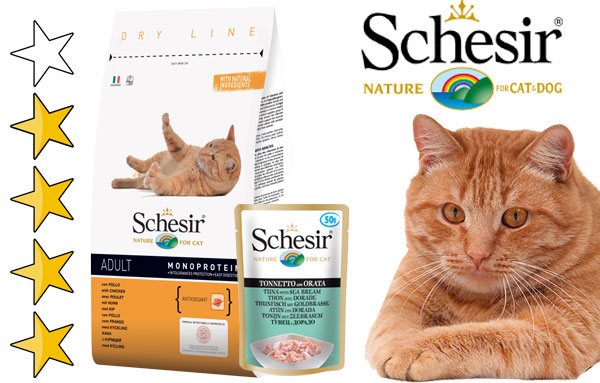 Корм для кошек schesir (шезир): обзор, виды, состав, отзывы