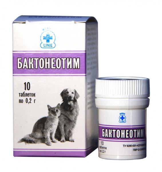 Пробиотики и пребиотики для собак: топ-15 препаратов